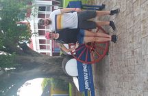 Private City Tour in Bahamas 