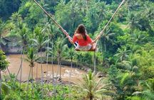 Bali Swing and Waterfall Tour