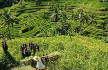 Bali Discovery Tour With Village And Temple