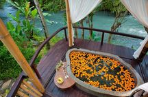 Traditional Bali Massage Lulur & Spa Treatment 2 Hours