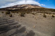 Kilimanjaro climb, Lemosho Route (6-day)