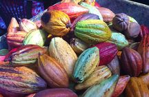 Chocolate and Cobblestones Tour with Taste of San Miguel 