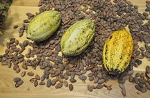 Chocolate and Cobblestones Tour with Taste of San Miguel 