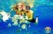 Catalina Island & Snorkeling Tour