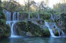 Volcanic Trekking: Volcano, Forest and Waterfall Day Trip from Girona with Lunch