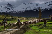 Pioneros Navigation and Trekking