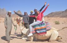 Safari Hurghada - Desert Safari Hurghada Egypt