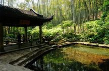 Half-Day Hangzhou Yunxi Bamboo Forest and Tea Plantation Experience