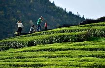 Half-Day Flexible Private Hangzhou Highlight Tour