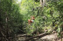 Riviera Maya Jungle Half-Day Tour: ATV, Ziplines, Cenote Swim, Rappel