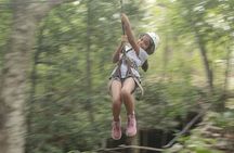 Riviera Maya Jungle Half-Day Tour: ATV, Ziplines, Cenote Swim, Rappel