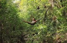 Riviera Maya Jungle Half-Day Tour: ATV, Ziplines, Cenote Swim, Rappel