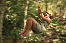 Riviera Maya Jungle Half-Day Tour: ATV, Ziplines, Cenote Swim, Rappel