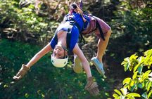 Canyon Canopy Tour: Zip line, rappel, rock climb,Tarzan swing, hanging bridge