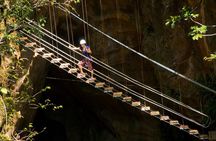Canyon Canopy Tour: Zip line, rappel, rock climb,Tarzan swing, hanging bridge