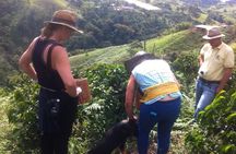 Coffee zone 2 days all inclusive Jardin and Jerico from Medellin