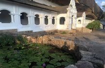 Sri Lanka Tour in 8 Days