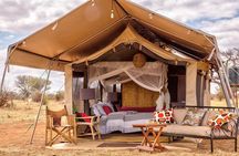 7 Days Group Camping Tarangire/Serengeti/Ngorongoro Crater and Lake Manyara
