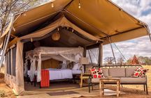 7 Days Group Camping Tarangire/Serengeti/Ngorongoro Crater and Lake Manyara