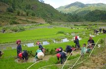 Sapa Hard Trekking villages 2D/1N: Homestay, Meals, English speaking guide