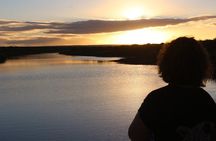 Addo Elephant National Park and Sunset River Cruise - FD04