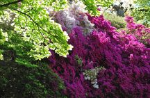 Walking tour with a private tour guide in the botanical gardens of Villa Taranto