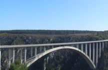 Fun and Adventure : Surges of adrenalin along the famous Garden Route - FD10