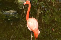 Fun and Adventure : Surges of adrenalin along the famous Garden Route - FD10