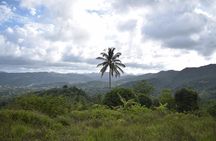 Natureworld St. Lucia hiking trail