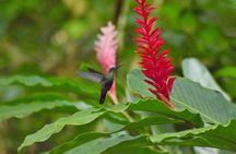 Natureworld St. Lucia hiking trail