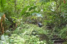 Natureworld St. Lucia hiking trail
