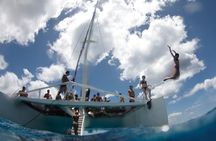 Luxury Hawaiian Sea Turtle, Dolphin Sail and Kona Snorkel
