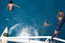 Waikoloa Catamaran Morning Snorkel Inluding Lunch