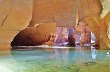 Java East Tours : Full - Day surabaya and madura island tour 
