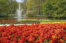 From Amsterdam: Keukenhof Ticket, Transfer & Live Guide Option