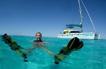 3 Night Ningaloo Reef Snorkel and Dive Getaway from Coral Bay