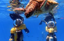 Oahu Submarine Scooter Adventure