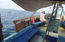 Wasini Dolphin Day Trip