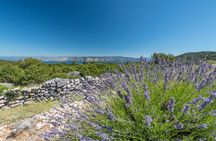 Private Hvar Island Tour and Olive Oil Tasting