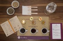 Coffee Cupping Express Private Tour (3 Hrs.)