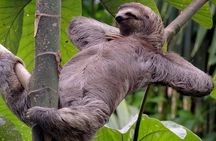 Manuel Antonio National Park Guided Tours