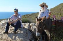 Sunset Pacific Donkey Hiking Tour