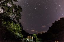Zealandia Small Group Eco Wildlife Night Tour