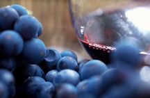 Small Group 6 guests: Ultimate Yarra Valley Food and Wine