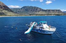 Private Dolphin Swim with Slide for up to 15 Passengers