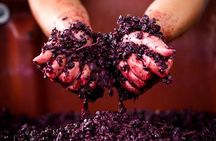 Ultimate Mornington Peninsula Food and Wine Small Group Tour