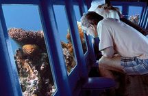 Submarine Excursion in Sharm El Sheikh