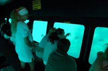 Submarine Excursion in Sharm El Sheikh
