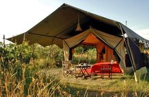 Masai Mara Game Reserve Safari Tour, 4 Days 3 Nights