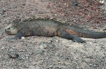 GALAPAGOS IDEAL (3Days)